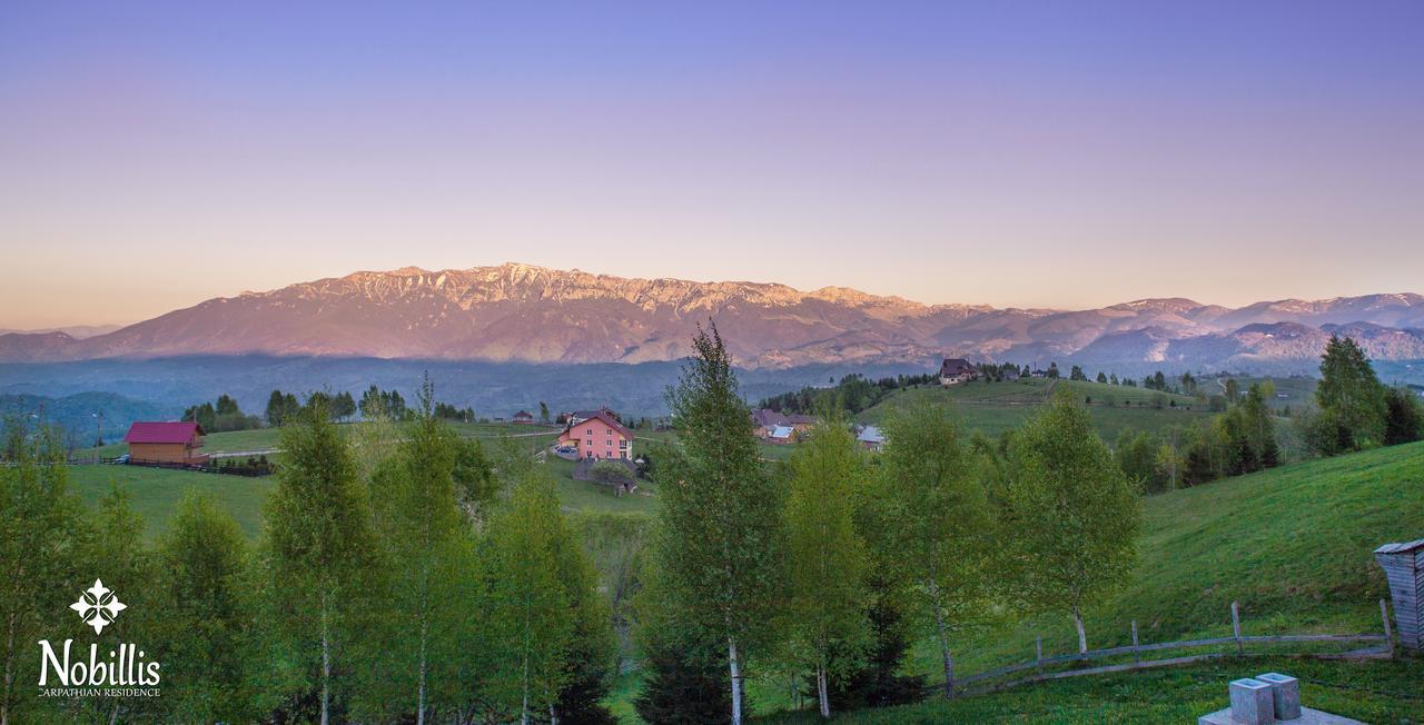 Nobillis - Carpathian Residence Пештера Экстерьер фото